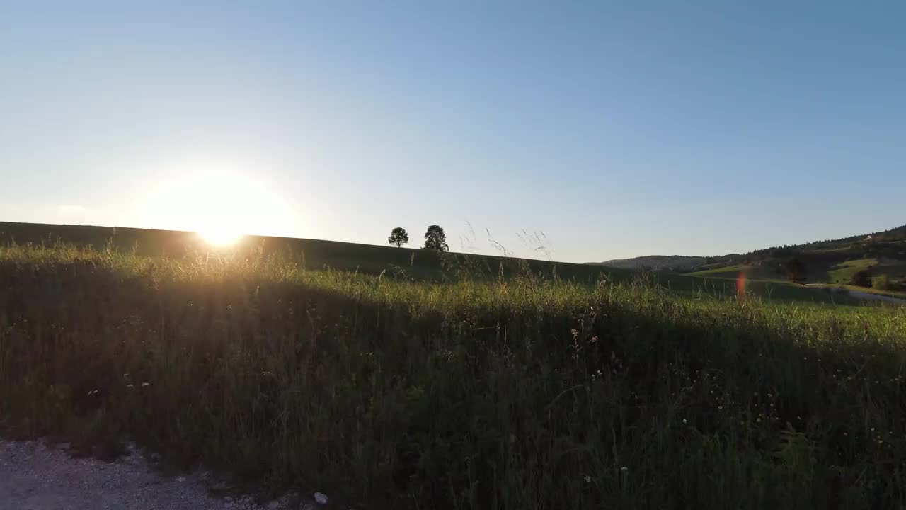 快速和可操作的飞行在山与美丽的松树与美丽的日落为背景。FPV无人机拍摄。视频素材