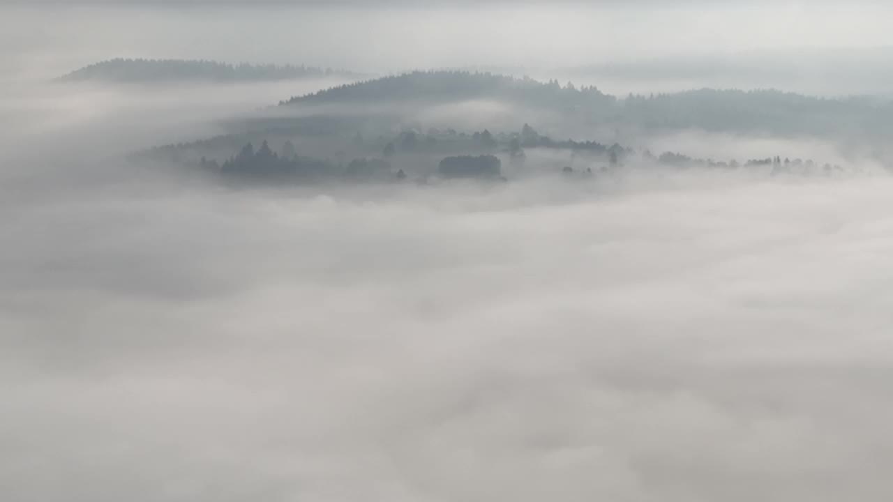 在一个美丽的早晨，无人机拍摄的薄雾吹过松树林的画面。山上云杉树林的航拍镜头。复制空间自然背景。视频素材