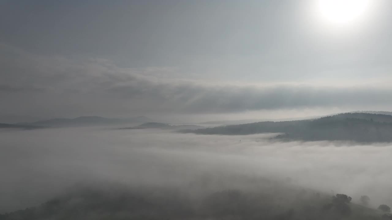 在一个美丽的早晨，无人机拍摄的薄雾吹过松树林的画面。山上云杉树林的航拍镜头。复制空间自然背景。视频素材