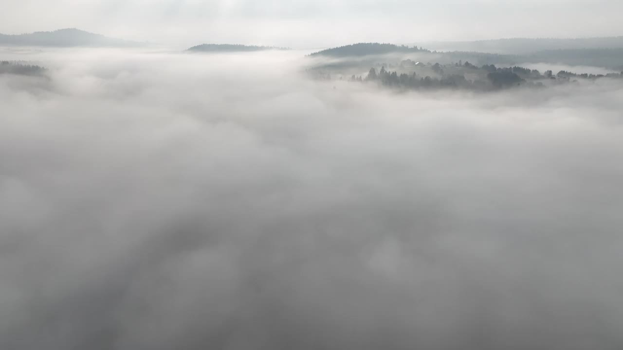 在一个美丽的早晨，无人机拍摄的薄雾吹过松树林的画面。山上云杉树林的航拍镜头。复制空间自然背景。视频素材