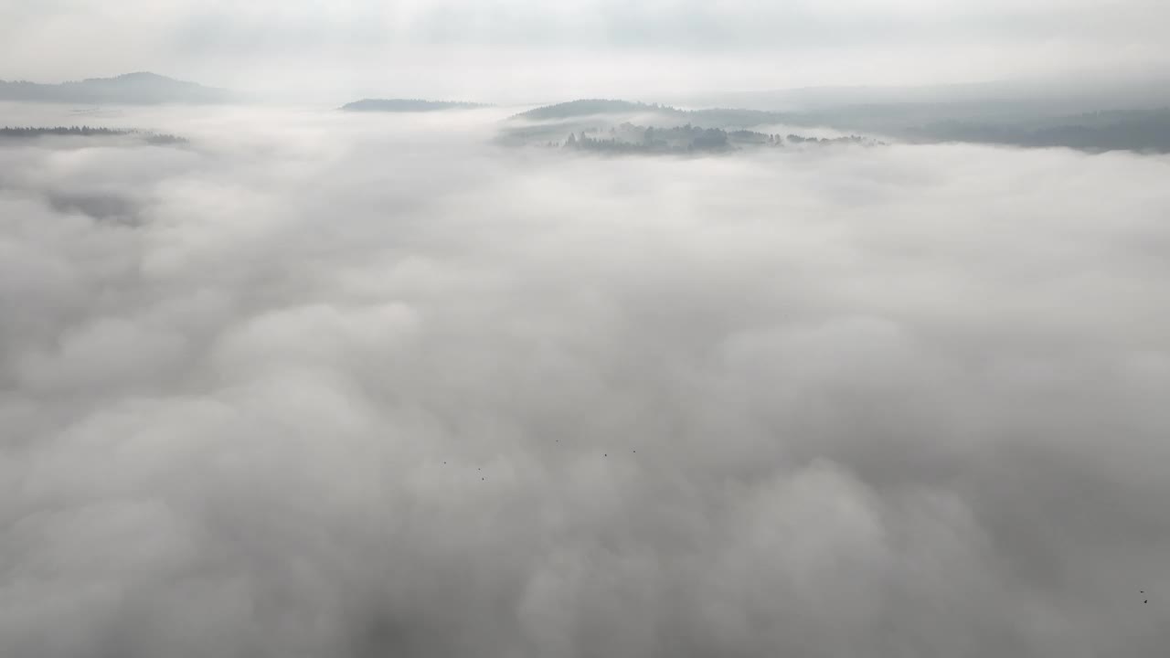 在一个美丽的早晨，无人机拍摄的薄雾吹过松树林的画面。山上云杉树林的航拍镜头。复制空间自然背景。视频素材