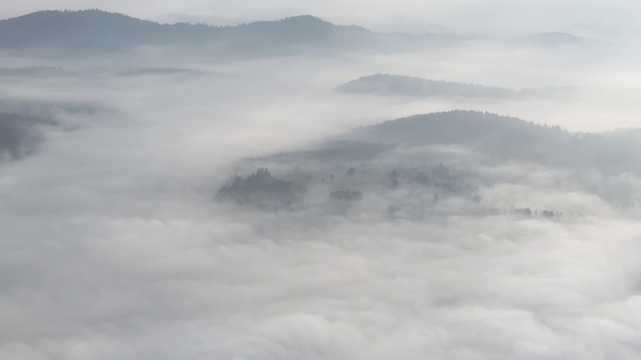 在一个美丽的早晨，无人机拍摄的薄雾吹过松树林的画面。山上云杉树林的航拍镜头。复制空间自然背景。视频素材