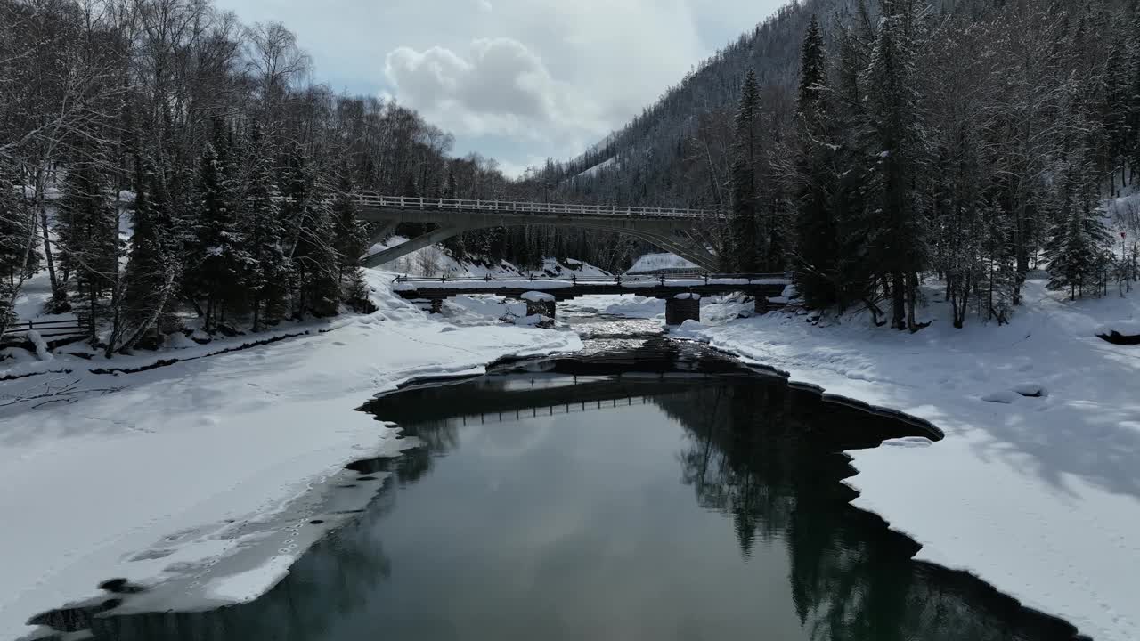 冬天河边的雪林鸟瞰图视频素材