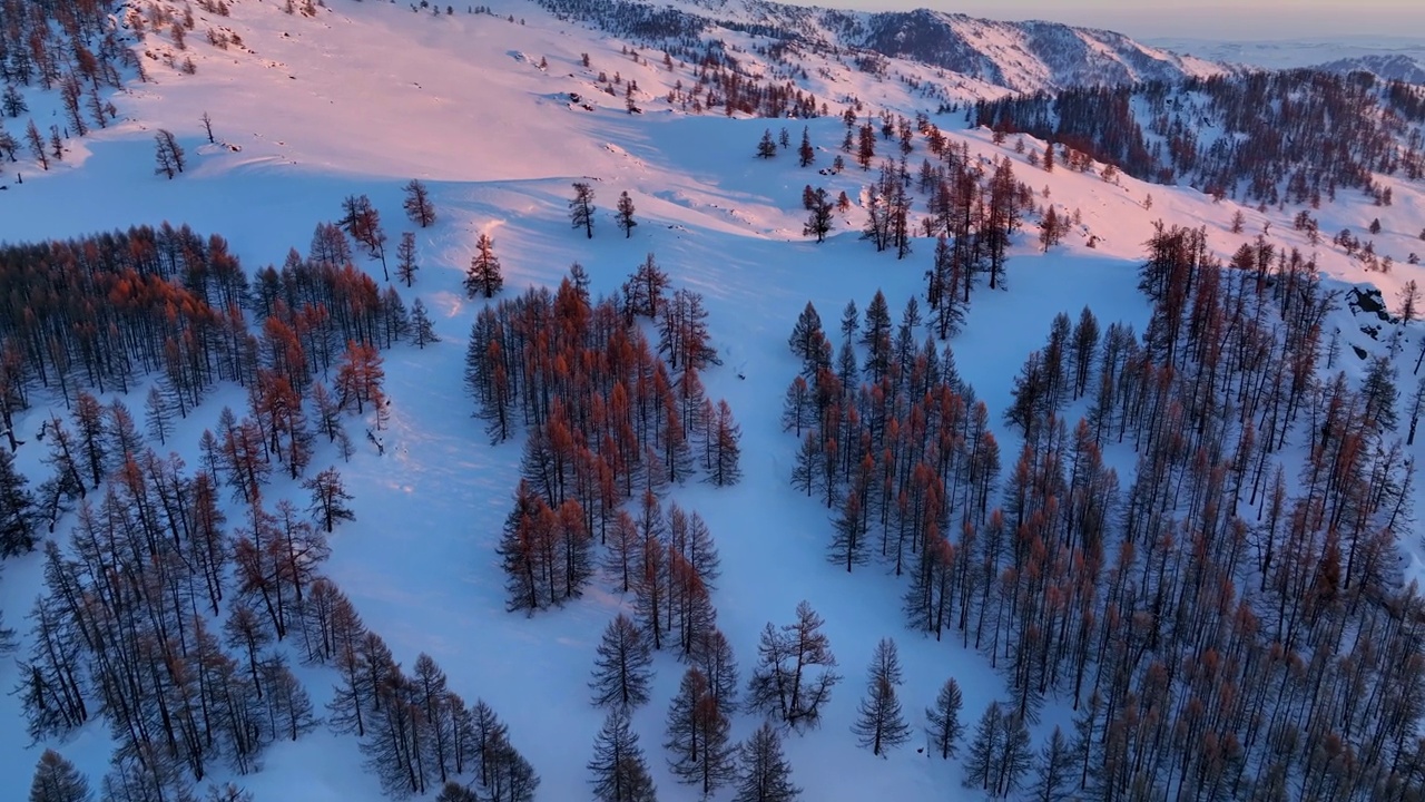 冬天被雪覆盖的村庄的航拍照片。滑雪胜地视频素材