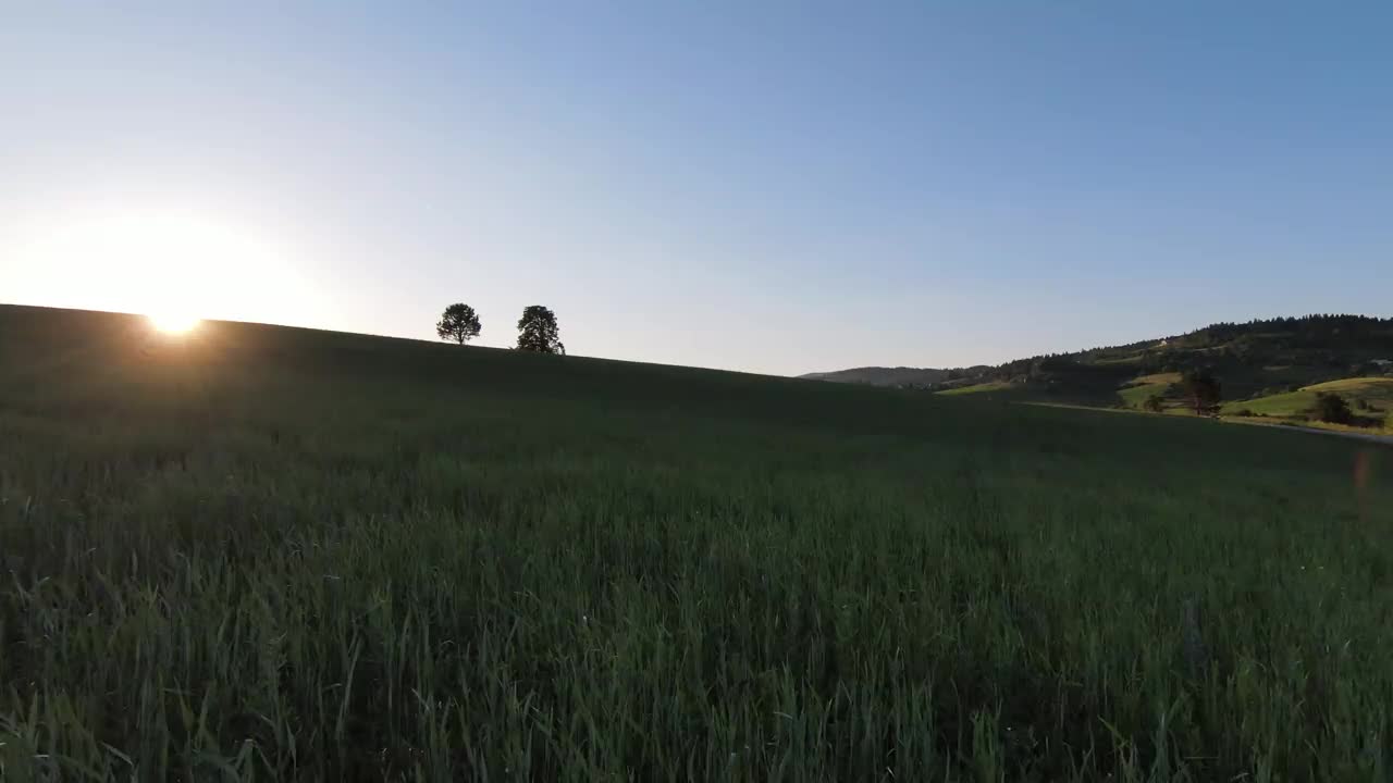 快速和可操作的飞行在山与美丽的松树与美丽的日落为背景。FPV无人机拍摄。视频素材