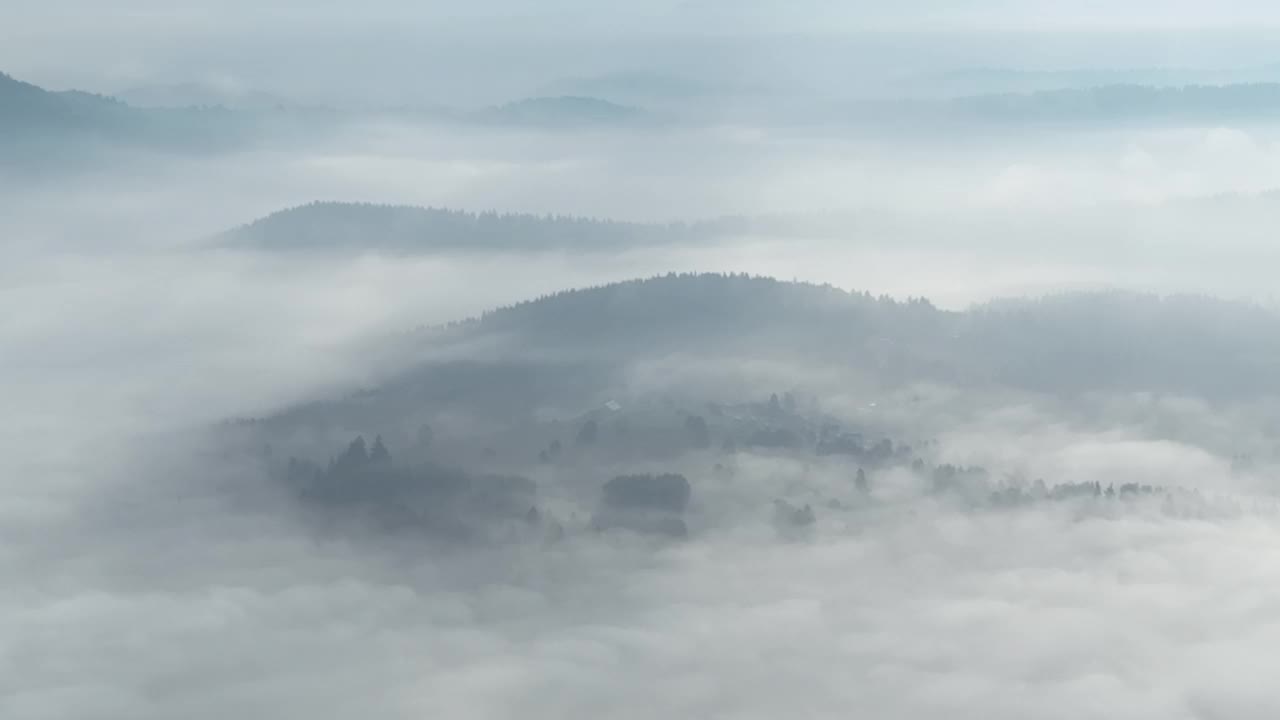 在一个美丽的早晨，无人机拍摄的薄雾吹过松树林的画面。山上云杉树林的航拍镜头。复制空间自然背景。视频素材