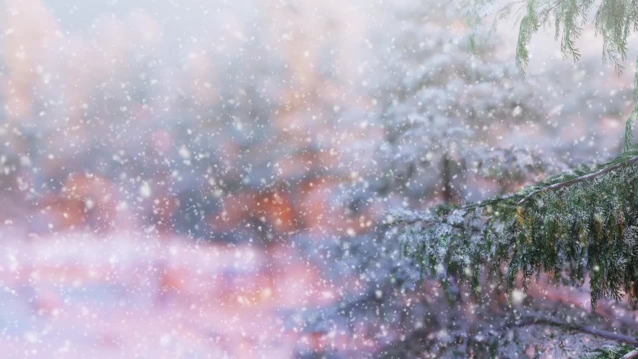 可循环的圣诞场景。美丽的冬季景色和飘落的雪花。视频下载