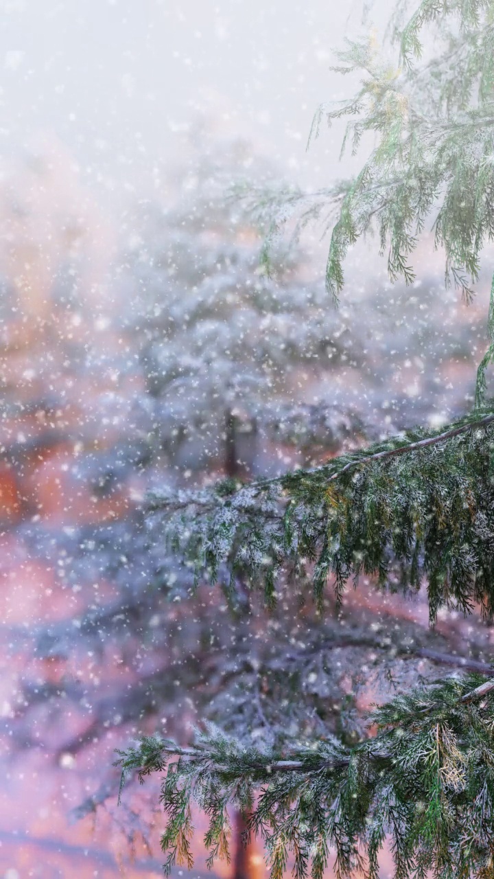 可循环的圣诞场景。美丽的冬季景色和飘落的雪花。视频下载