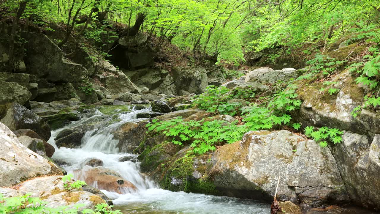 自然风光-山谷，岩石和水/麟蹄郡，江原道，韩国视频素材