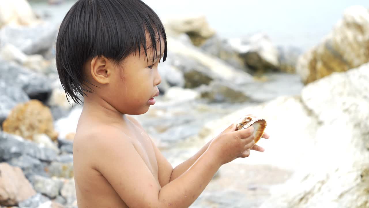 亚洲男孩在海滩上玩贝壳。视频素材