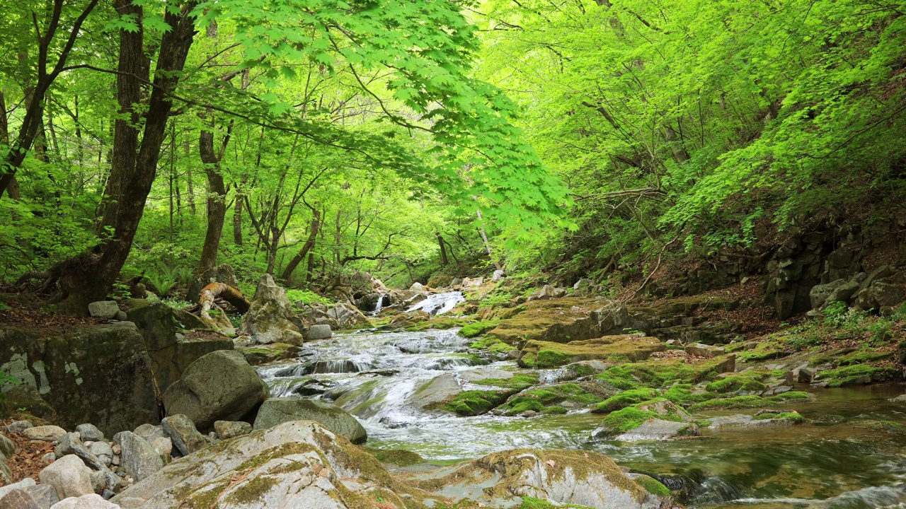 自然风光-山谷，岩石和水/麟蹄郡，江原道，韩国视频素材