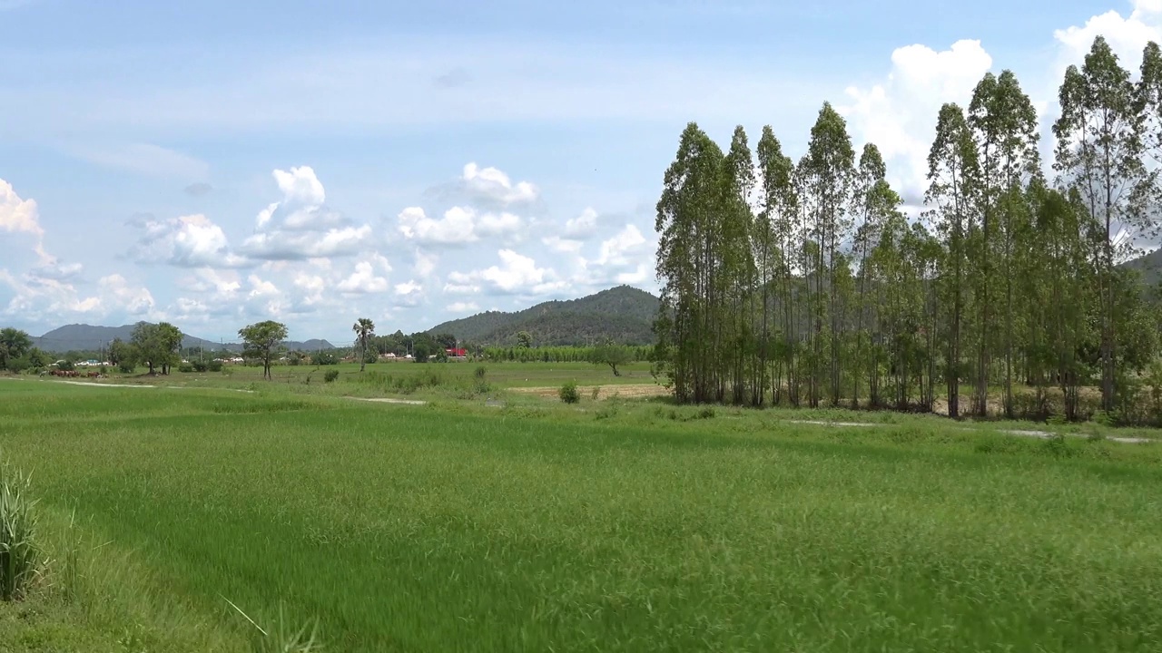 风景中的山视频素材