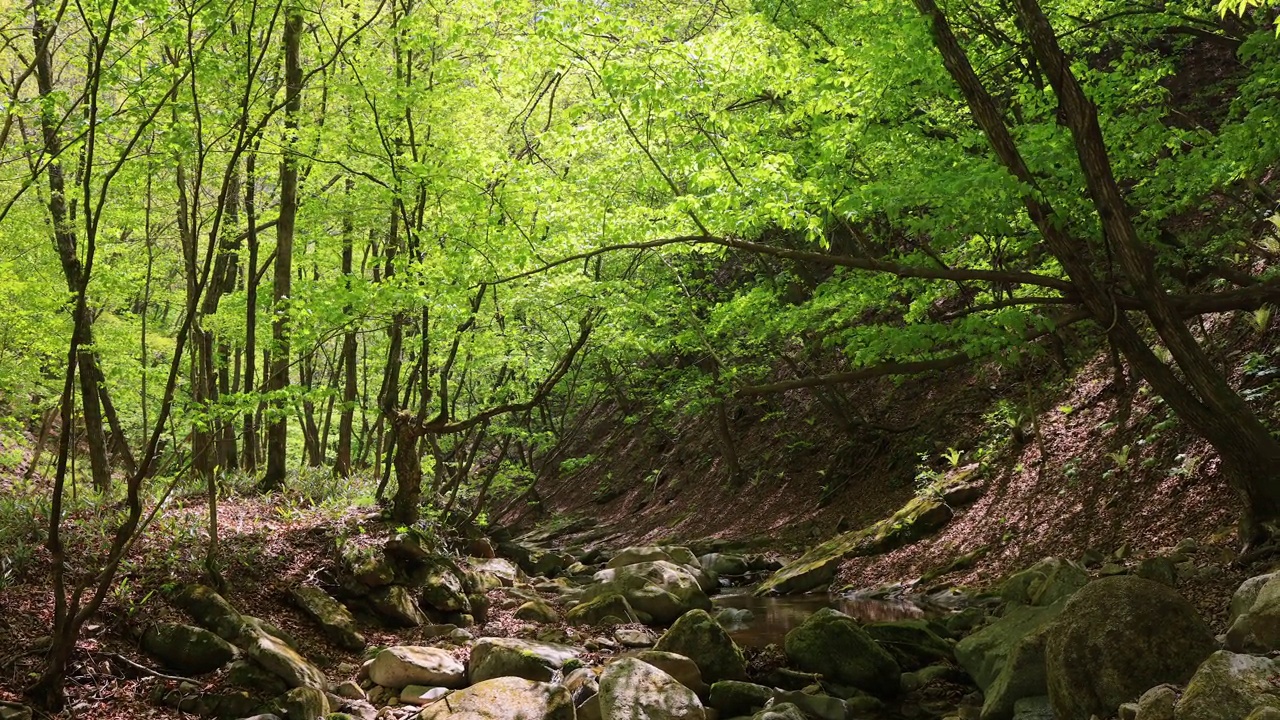 自然风光-山，树，岩石，山谷和水/洪川郡，江原道，韩国视频素材