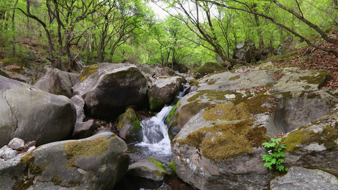 自然风光-山，岩石，树，山谷和水/韩国京畿道视频素材