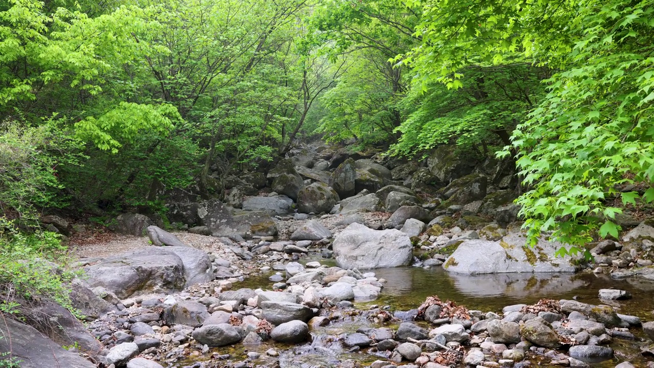 自然风光-山，岩石，树，山谷和水/韩国京畿道视频素材