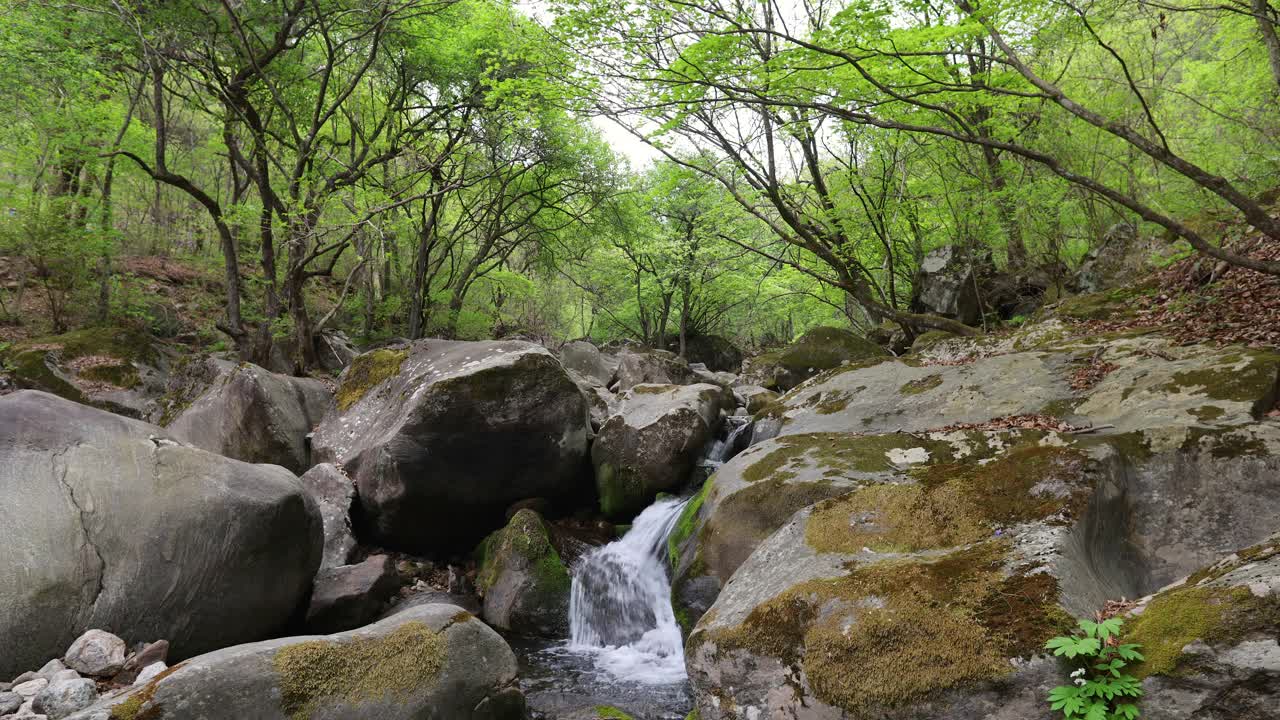 自然风光-山，岩石，树，山谷和水/韩国京畿道视频素材