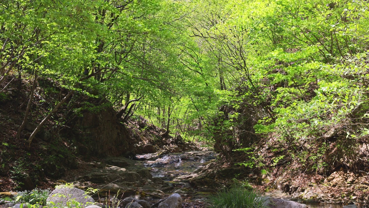 自然风光-山，树，岩石，山谷和水/洪川郡，江原道，韩国视频素材