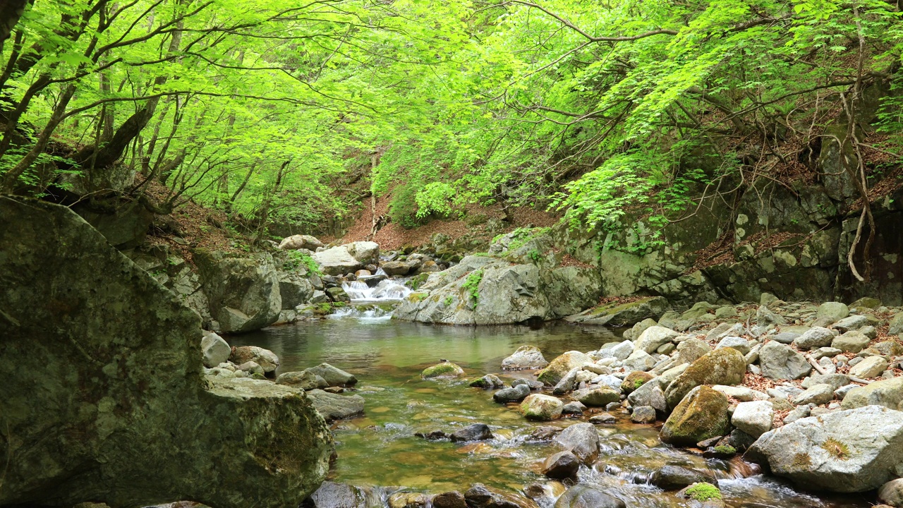 自然风光-山谷，岩石和水/麟蹄郡，江原道，韩国视频素材