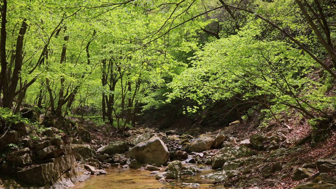 自然风光-山，树，岩石，山谷和水/洪川郡，江原道，韩国视频素材