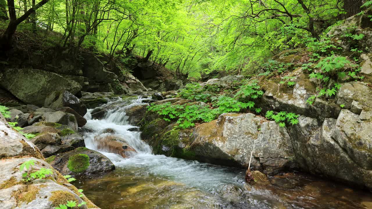 自然风光-山谷，岩石和水/麟蹄郡，江原道，韩国视频素材