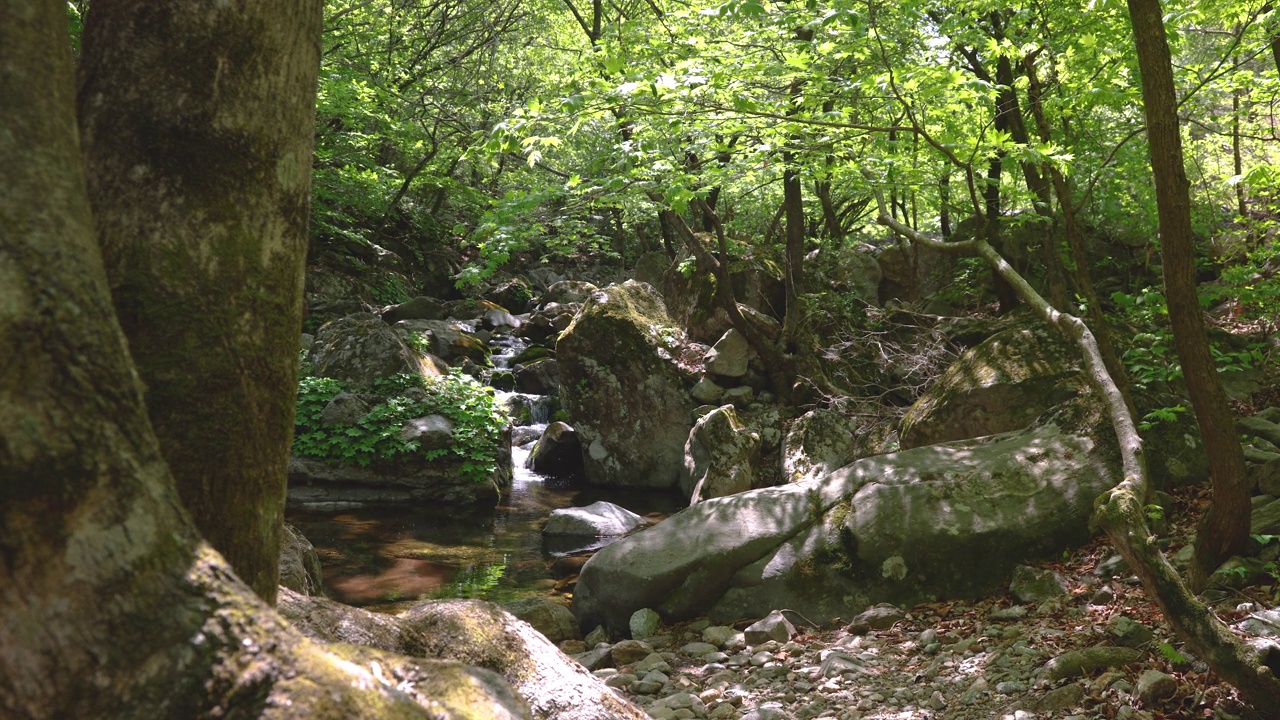 自然风光-山，岩石，树，山谷和水/韩国京畿道视频素材