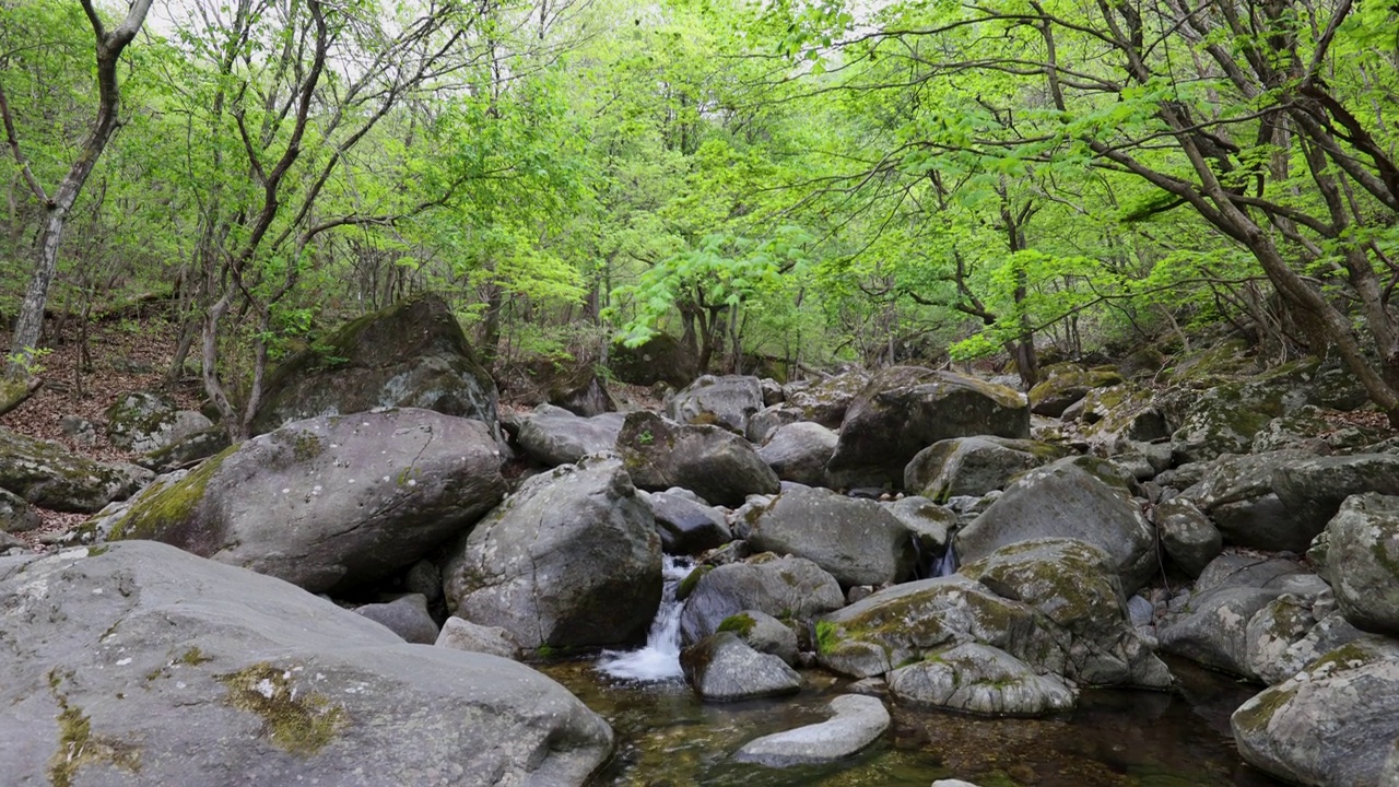 自然风光-山，岩石，树，山谷和水/韩国京畿道视频素材