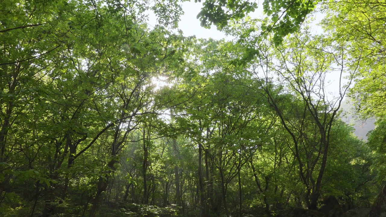 自然风景-山，岩石，树，山谷，水和廷德尔现象/韩国京畿道视频素材