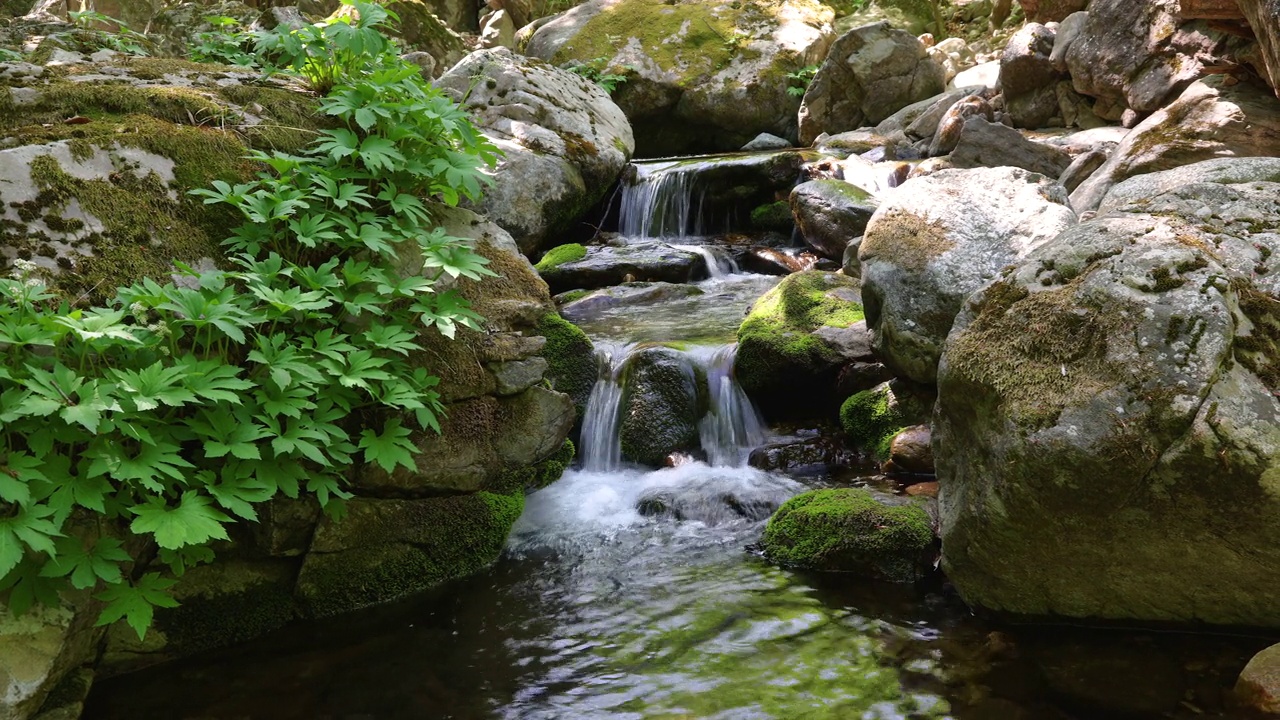 自然风光-山，岩石，树，山谷和水/韩国京畿道视频素材