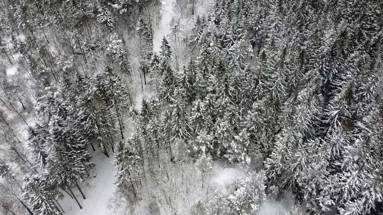 无人机拍摄的瑞典雪景。视频素材