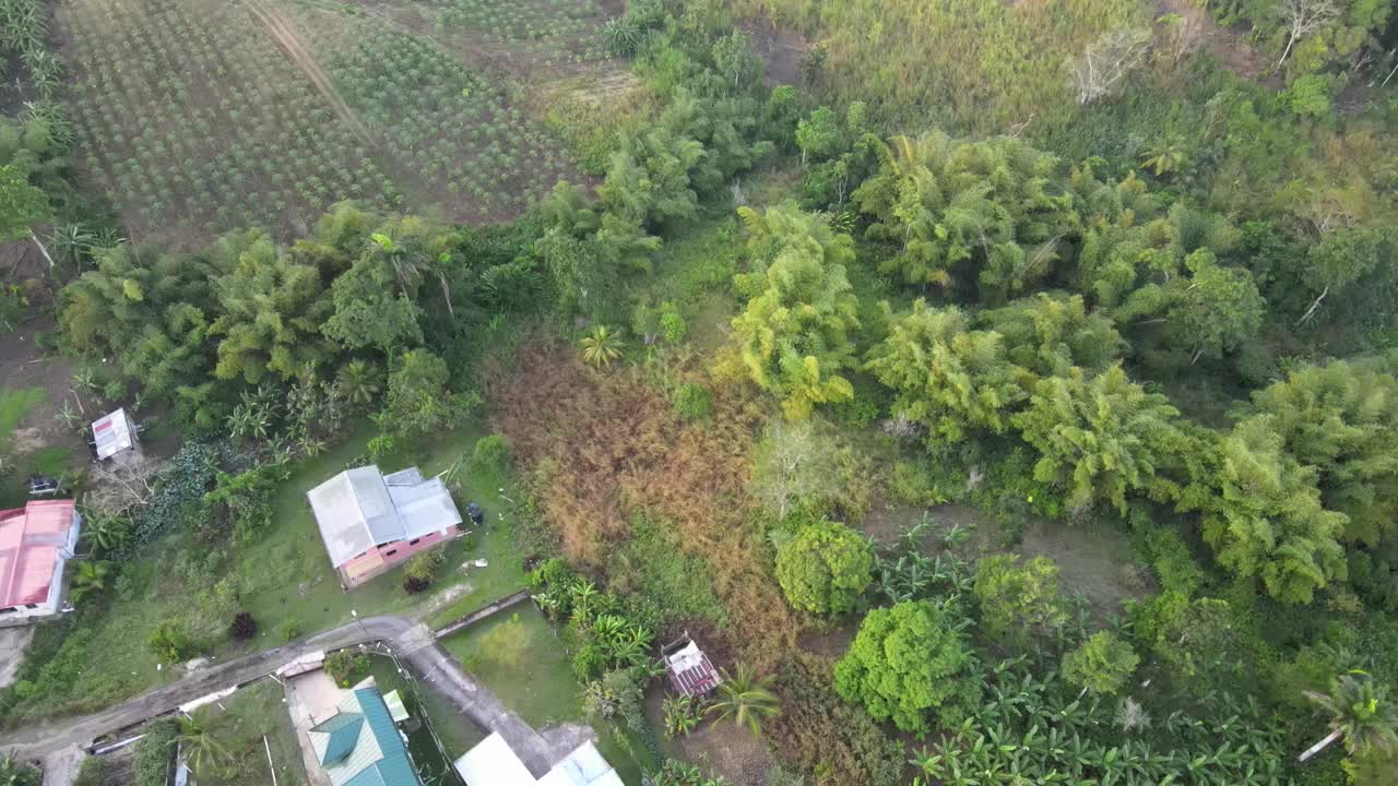 鸟瞰一个有耕地、花园的村庄视频素材