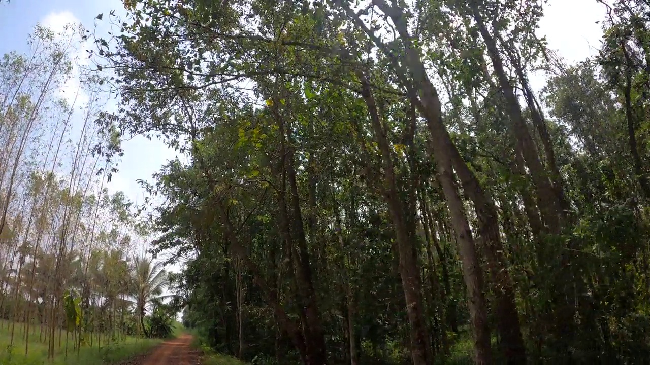 在土路上奔跑的观点。越野卡车的车轮在尘土飞扬、干湿泥泞的肮脏道路上行驶。在偏僻的地方旅行的观点视频素材