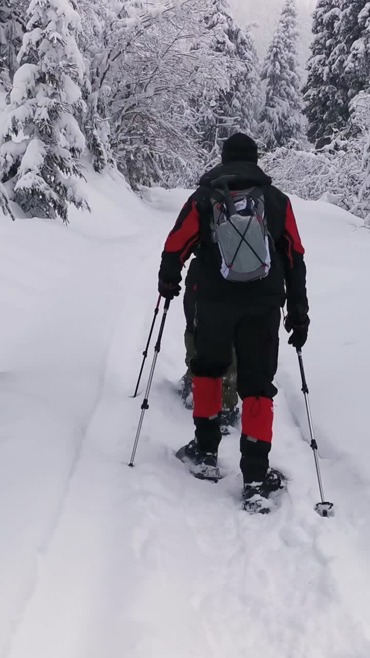 背包和雪鞋的徒步旅行者在冬季徒步旅行中行走。视频素材