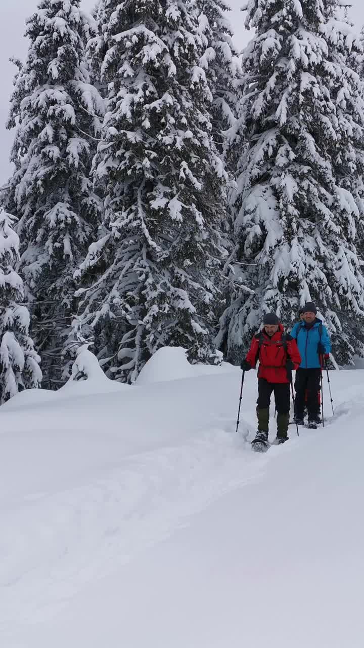 三个背着双肩包、穿着雪鞋的男人在冬季徒步旅行中行走。视频素材