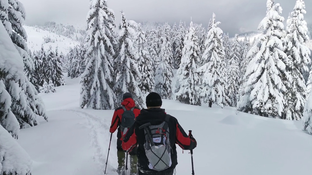 背包和雪鞋的徒步旅行者在冬季徒步旅行中行走。视频素材