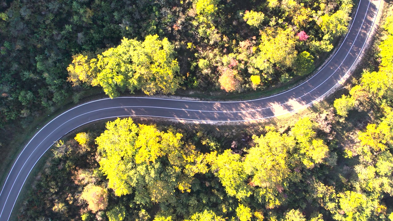 森林中弯曲的道路的全景，白色的汽车通过视频素材