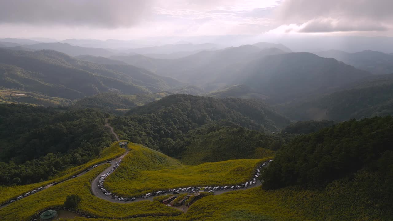 鸟瞰金盏花黄花田在Doi Mae U-Kho山，泰国湄宏颂省视频素材