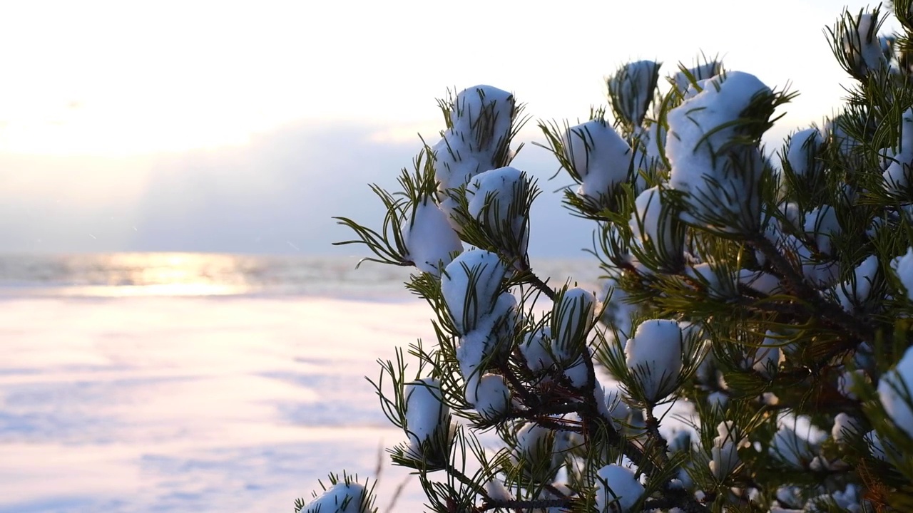 在海滩上日落的时候，海滩上的雪从风中蔓延开来视频素材