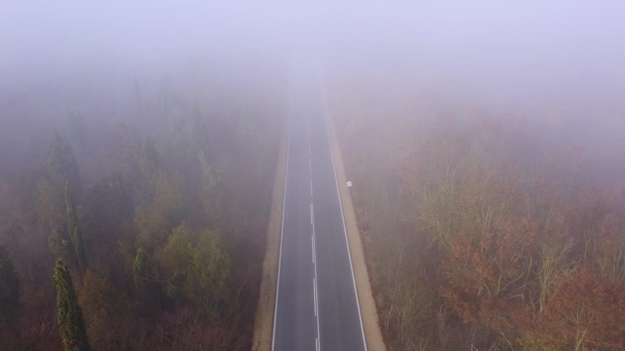 柏油路高速公路在秋雾森林鸟瞰图视频素材