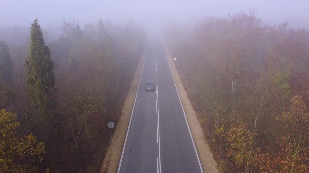 柏油路高速公路在秋雾森林鸟瞰图视频素材