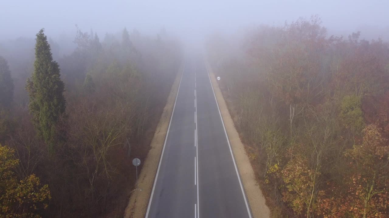 柏油路高速公路在秋雾森林鸟瞰图视频素材