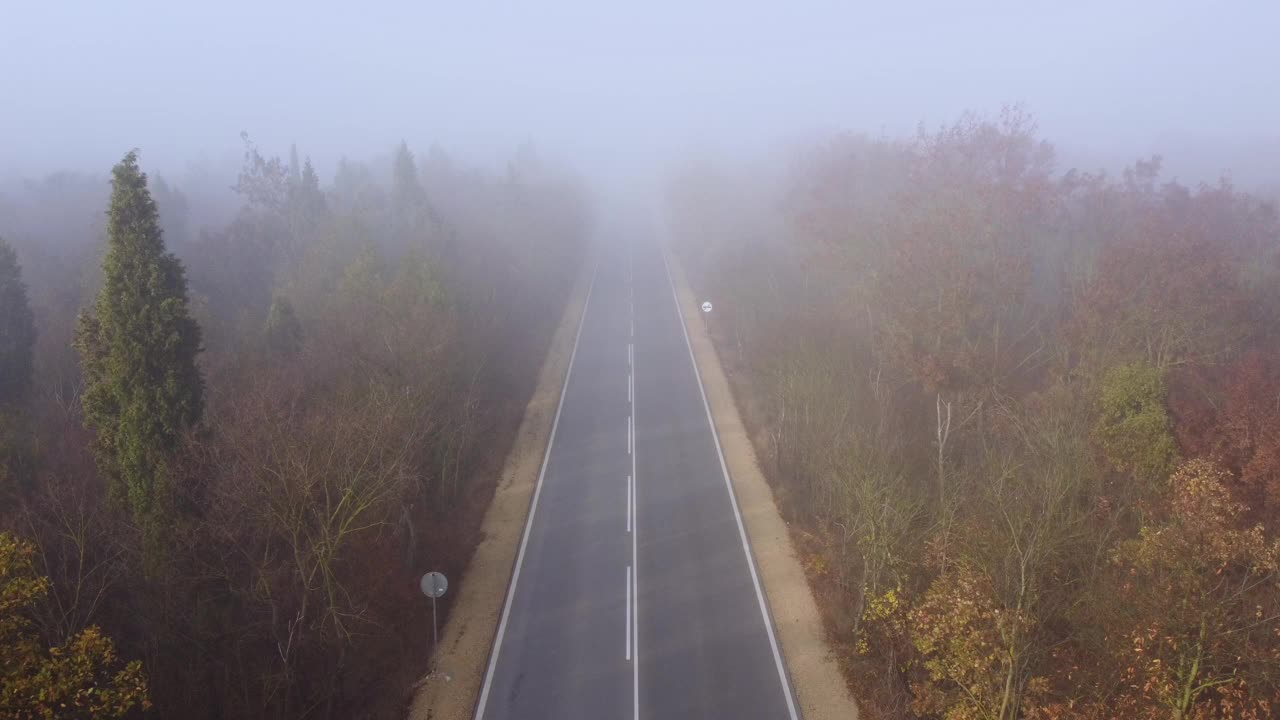 柏油路高速公路在秋雾森林鸟瞰图视频素材