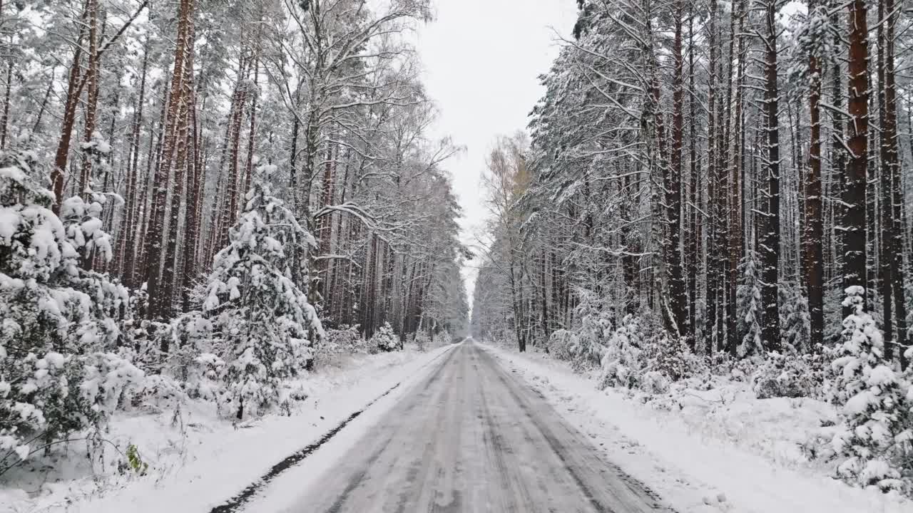 在波兰的柏油路和白雪覆盖的森林上空飞行。视频素材