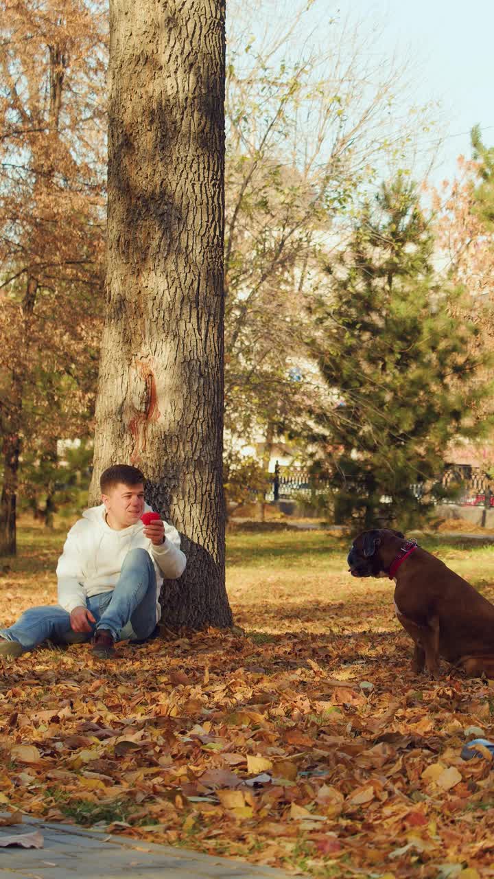 垂直视频显示，一名男子和他的拳师犬玩耍——他把球扔给她。视频素材