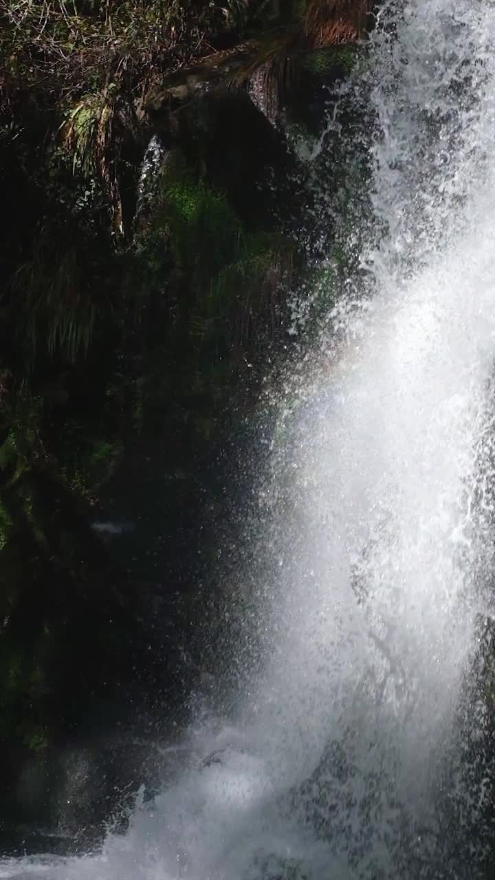 在森林环绕的山坡上，可以看到美丽的全水瀑布。葡萄牙卡布里亚瀑布的慢动作全高清视频视频素材