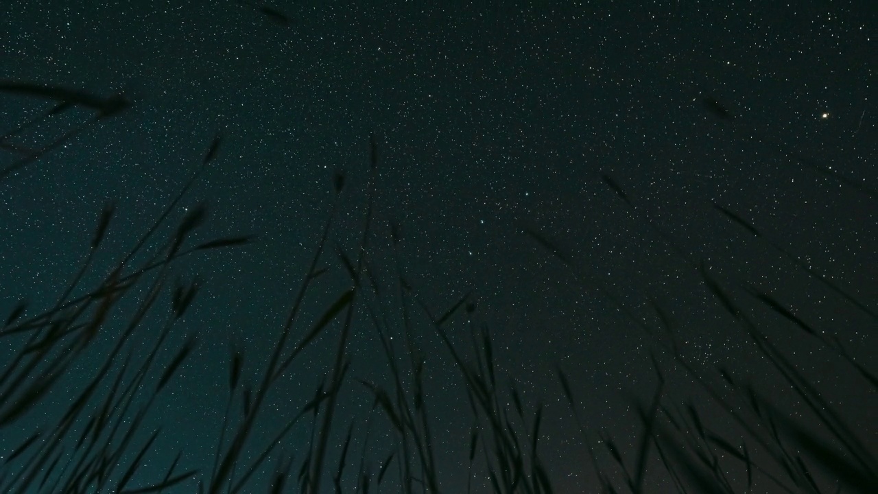 4k夜间星空发光的银河系恒星和夏季农业季节年轻小麦芽上的流星轨迹。旋转天空背景。青稞苗上的星空。旋转运动视频素材