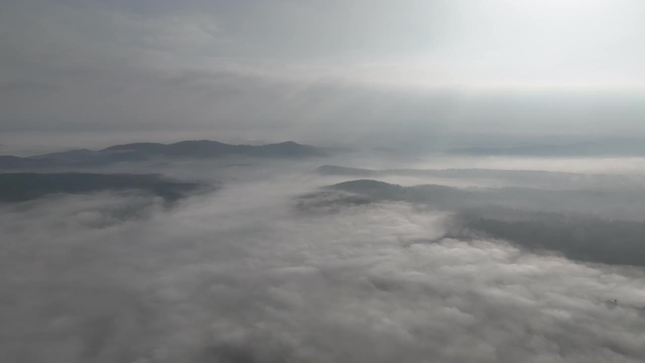 在一个美丽的早晨，无人机拍摄的薄雾吹过松树林的画面。山上云杉树林的航拍镜头。复制空间自然背景。视频素材