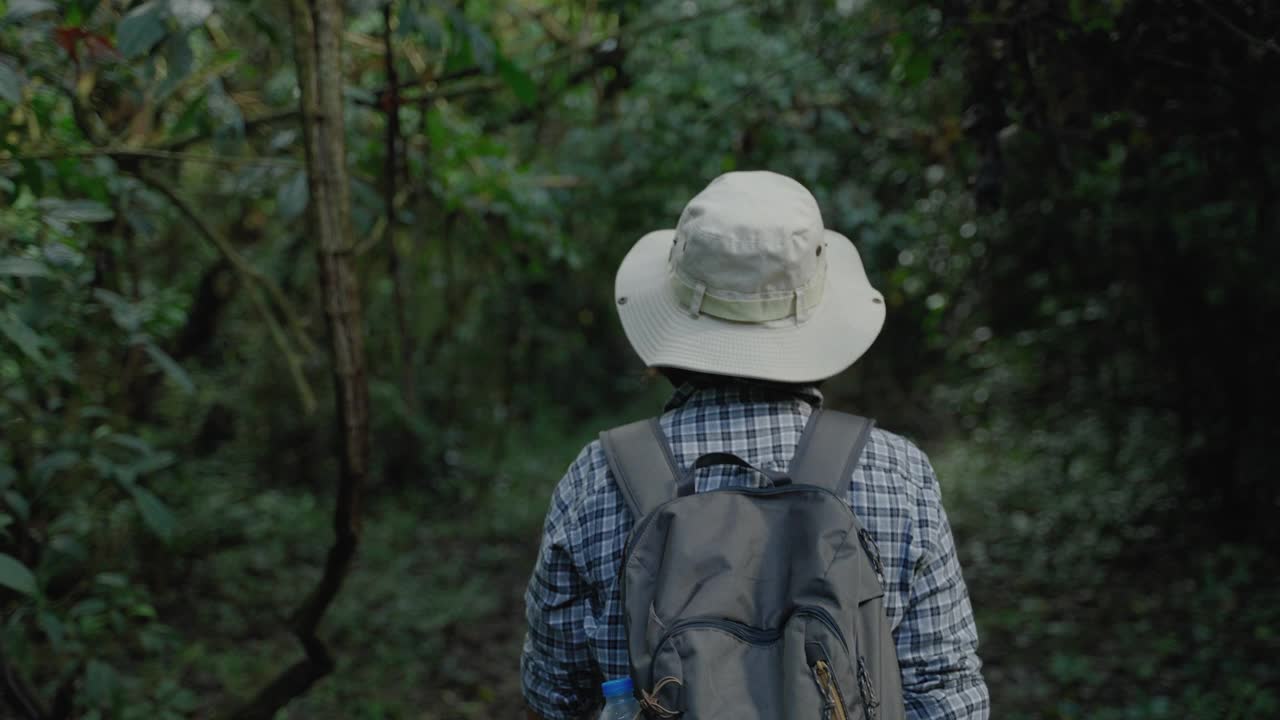 中年亚洲女生态学家在热带雨林的自然小径上行走，在一个热带国家进行实地研究。视频素材