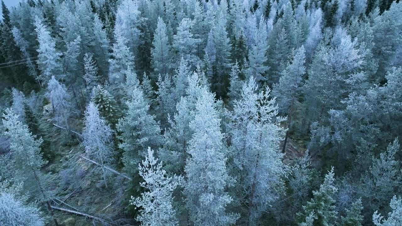 日出前河流上空的航拍画面视频素材