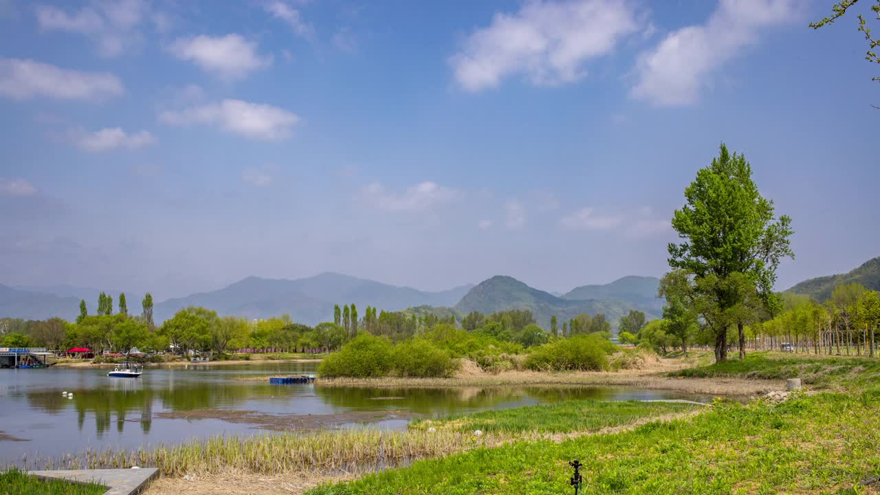 自然风景-公园和树木/韩国京畿道视频素材