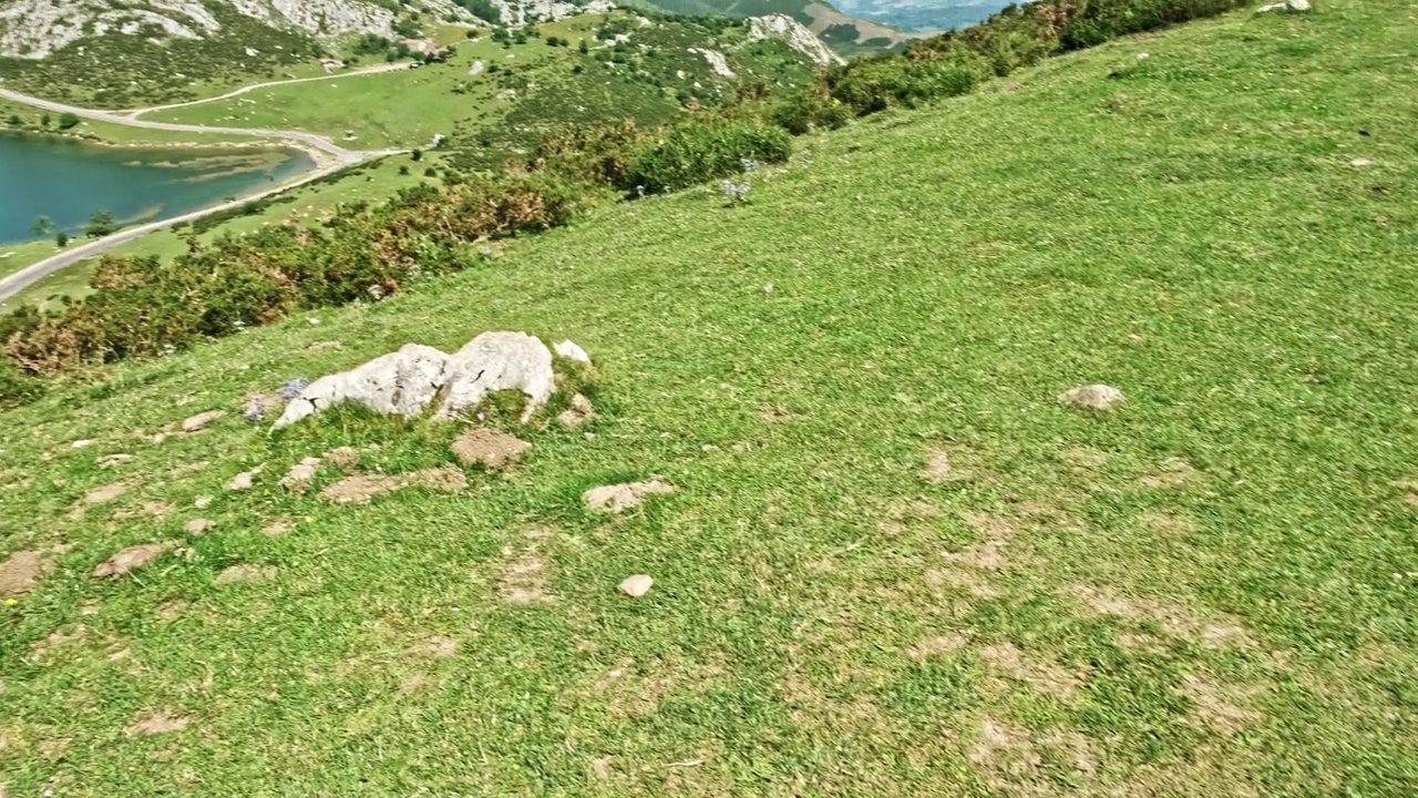 西班牙阿斯图里亚斯的科瓦东加湖的埃诺尔湖全景视频素材